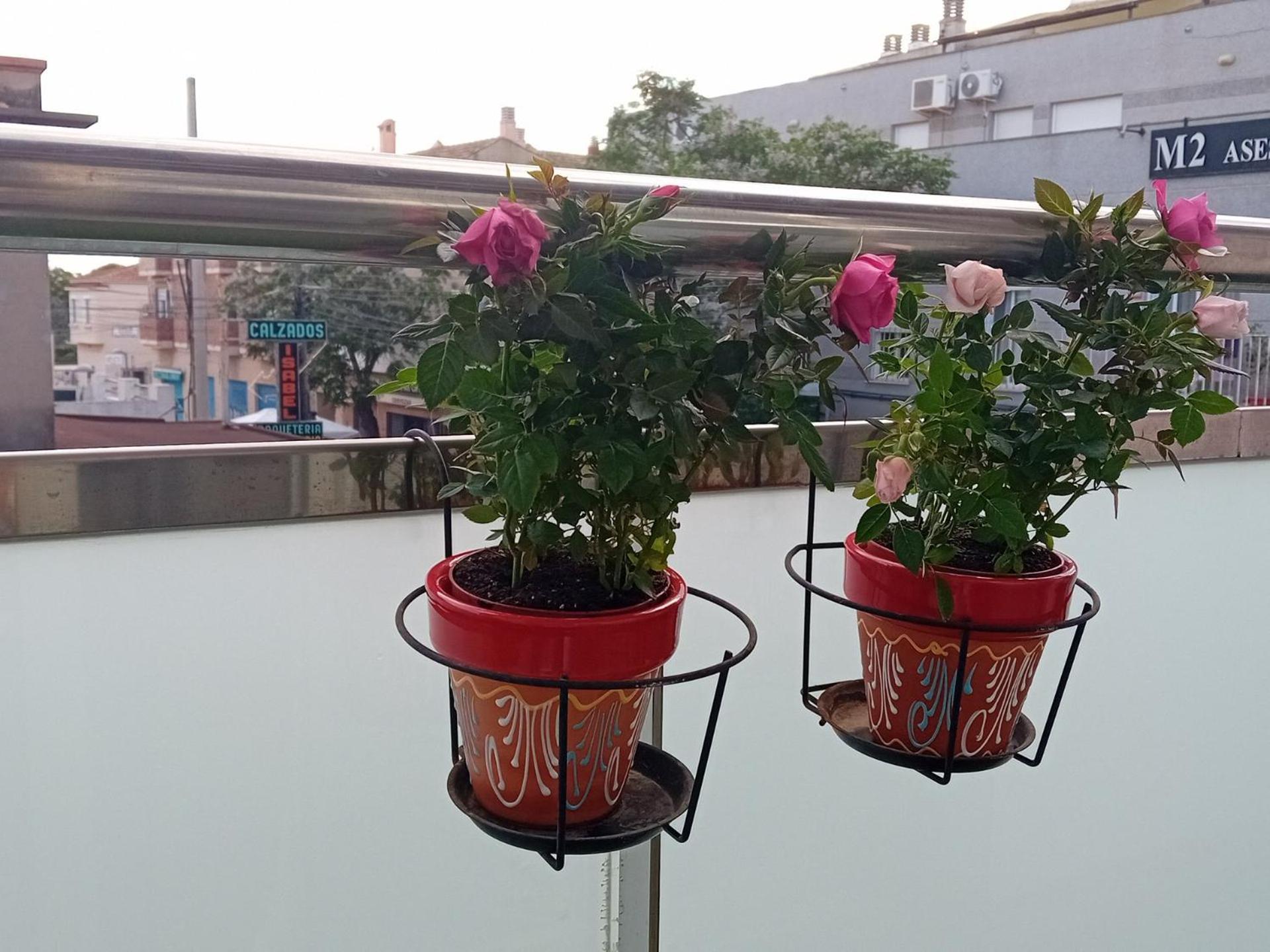 El Estudio De Mariposas,sofa Cama , Cocina Y Bano